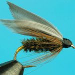 Leadwing Coachman fly