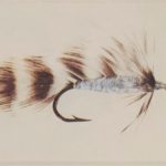 Gray Matuka Streamer Fly