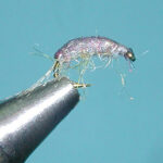 Image f a scud fly in a vice.