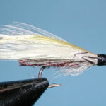 Gray Ghost Fly