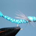 Blue Damsel Fly