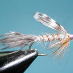 Gray Timberline Emerger