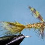 Olive Timberline Emerger