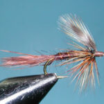 Timberline Emerger, Brown