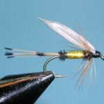 California Coachman, Lead Wing