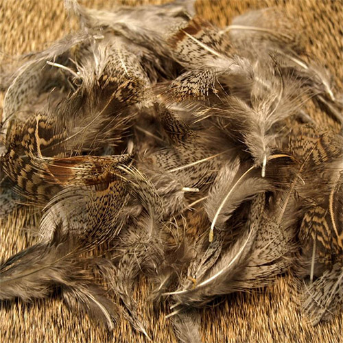 Hungarian Partridge Feathers
