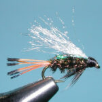 Flashback Western Coachman