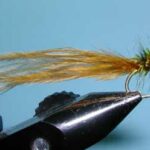 J Fair's Wiggle Tail, Olive