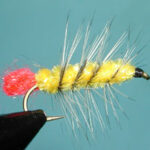 Yellow/Badger Woolly Worm