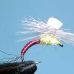 Picture of Brooksprout, PMD